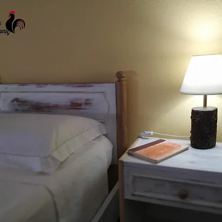 Is Cabonis Homestay szállás